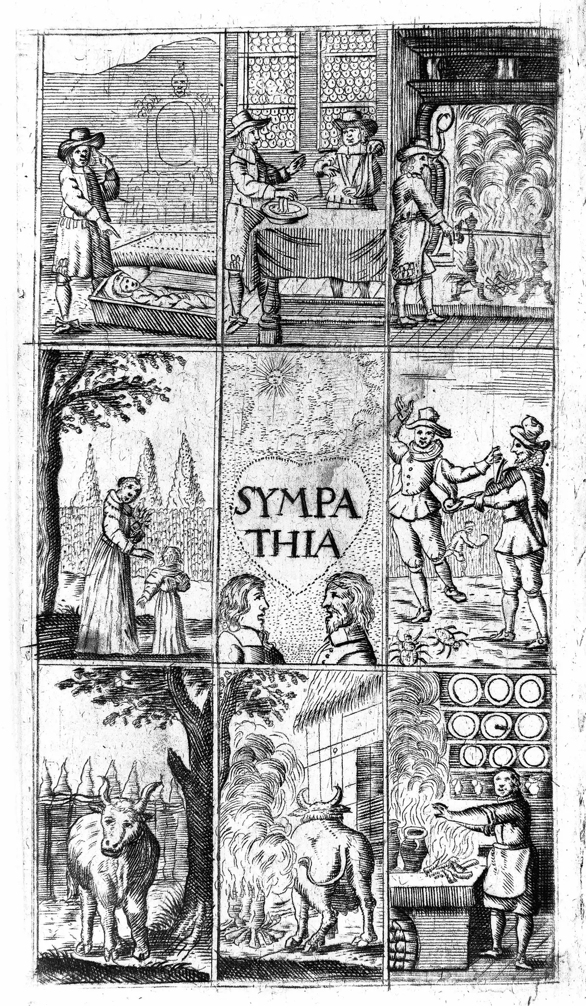中央のハートに「SYMPATHIA」と書かれ、周りに人や牛、火を焚く場面など9つの絵が並ぶ、共感の粉を扱った本の口絵
