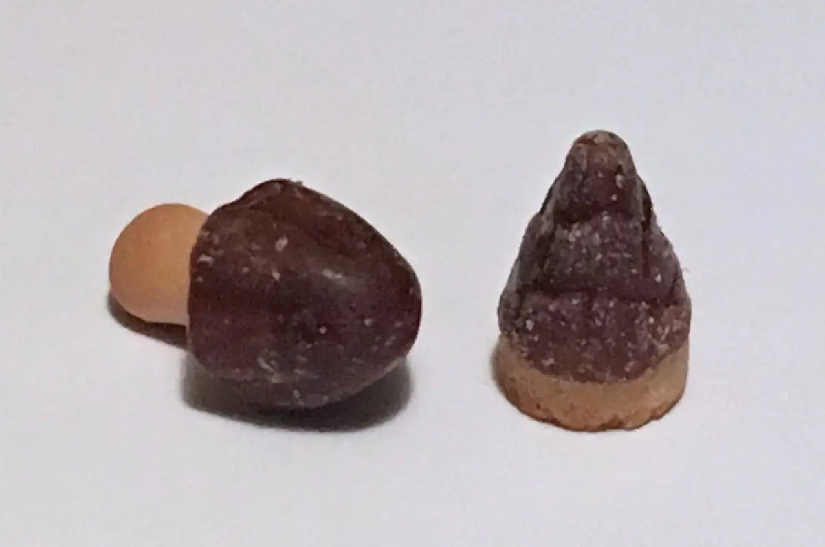 「きのこの山」と「たけのこの里」のチョコ菓子を1個ずつ並べたところ